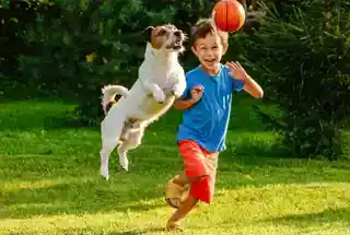 Wadhwa Wise City panvel Pet’s Zone