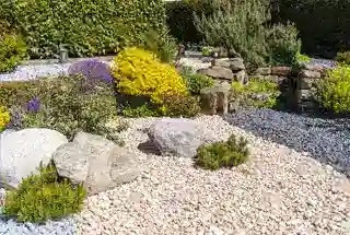 Wadhwa Wise City panvel Rock Garden